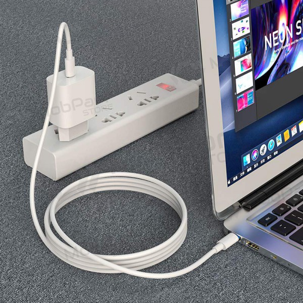 USB kabelis Hoco X51 Type-C - Type-C 20V 5A 100W 2.0m (balts)