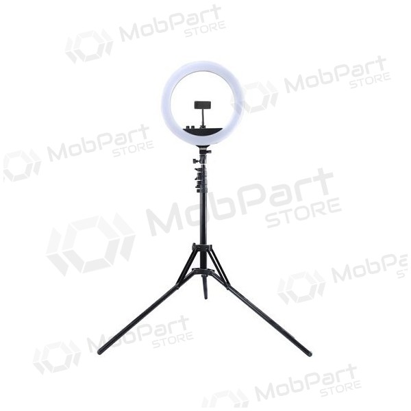 LED žiedinė lampu 34.5cm, su trikoju stovu iki 1.85m, veidrodžiu un telefono laikikliu, USB LED žiedinė lampu 34.5cm, su trikoju stovu iki 1.85m, veidrodžiu un telefono laikikliu, USB
